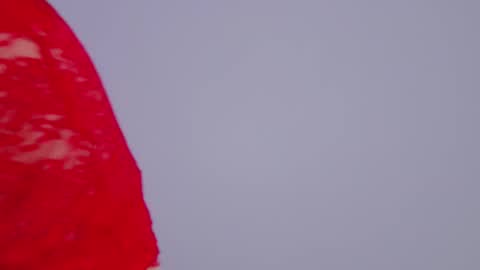 Tania Amore online show from 11/25/25, 06:52