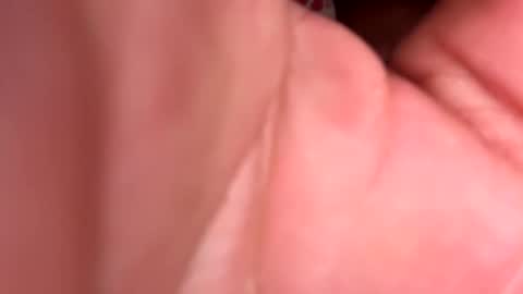 tasmanwawatai27 online show from 02/20/26, 12:05