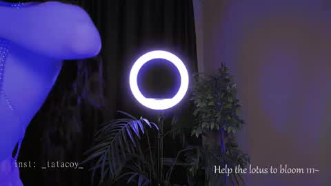 TataCoy online show from 10/30/25, 02:07