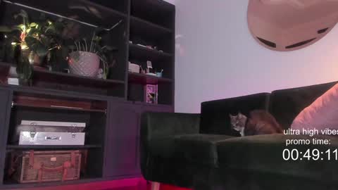 Nathalie Hardy  online show from 12/02/24, 10:23