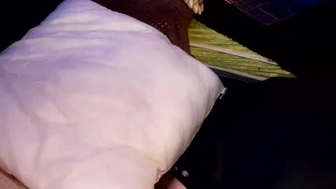 Jean pool online show from 10/31/25, 06:58