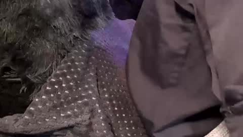 Jean pool online show from 12/15/25, 11:47