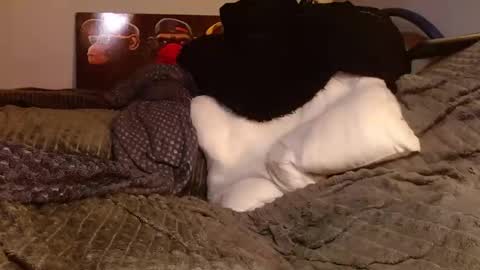 Snapshot of tattooman777 chatting on 03/28/26, 05:45 Jean pool online show from 03/28/26, 05:45