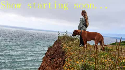 TATUM  ALL MY LINKS  online show from 02/02/25, 11:21