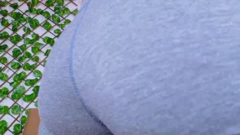 Taty Miller online show from 02/15/26, 07:21