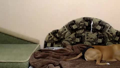 Taya online show from 12/16/25, 07:30