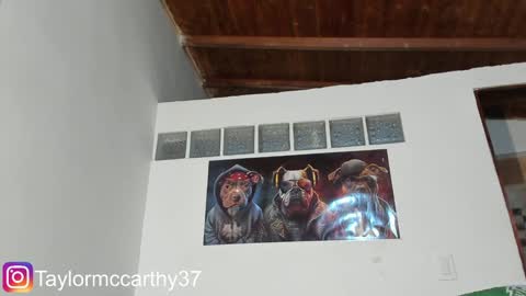 Snapshot of taylor_mccarthy_1 chatting on 01/29/25, 05:09 Taylor Mccarthy online show from 01/29/25, 05:09