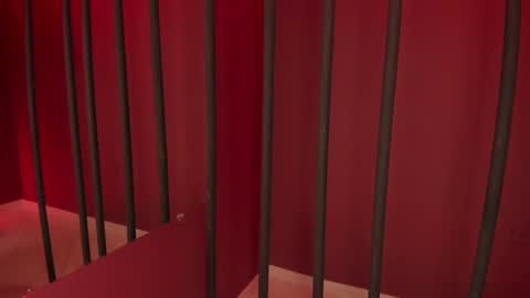 Snapshot of taylor_sexyy chatting on 12/20/24, 04:09 Taylor  online show from 12/20/24, 04:09