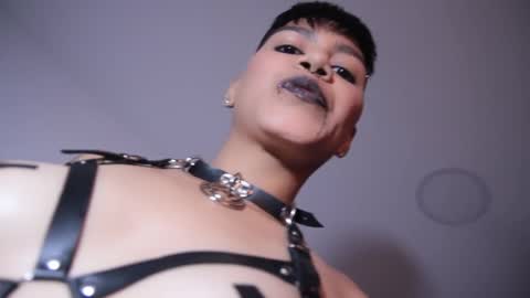 Snapshot of taylorharp chatting on 12/16/24, 06:27 Taylor online show from 12/16/24, 06:27