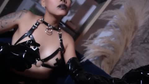 Snapshot of taylorharp chatting on 10/25/25, 04:24 Taylor online show from 10/25/25, 04:24