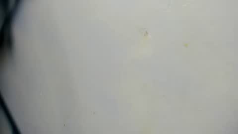 taz_box online show from 06/21/26, 11:51