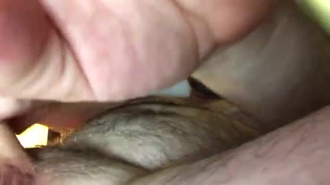 Snapshot of tbiz82 chatting on 02/27/25, 05:24 Tbiz82 online show from 02/27/25, 05:24