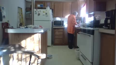 Teak online show from 02/18/25, 08:58