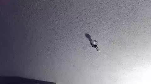 technosex14 online show from 11/20/25, 03:28