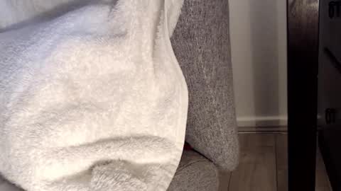 Snapshot of tedging2 chatting on 01/28/25, 01:05 Tedging2 online show from 01/28/25, 01:05