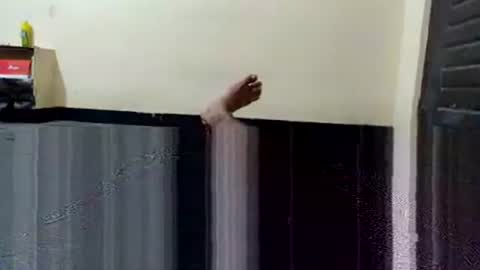 Snapshot of telugu_dick_hyd chatting on 11/04/25, 10:53 telugu_dick_hyd online show from 11/04/25, 10:53