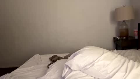 Snapshot of tennman6086 chatting on 02/04/25, 02:43 Tennman online show from 02/04/25, 02:43