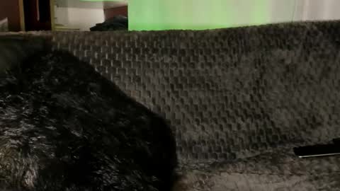 Snapshot of teo_369 chatting on 01/08/26, 04:09 Teo online show from 01/08/26, 04:09