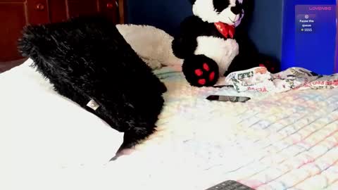 Snapshot of teo_369 chatting on 03/11/26, 08:26 Teo online show from 03/11/26, 08:26