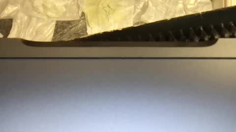 Snapshot of terence00000007 chatting on 11/09/25, 04:55 Terence online show from 11/09/25, 04:55