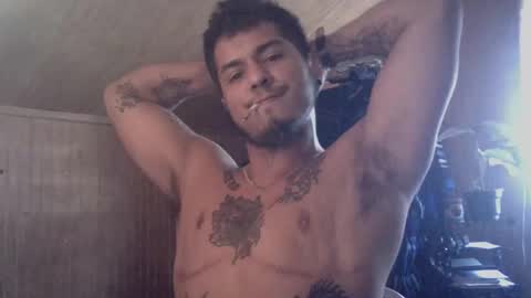 Snapshot of testotease chatting on 12/20/24, 03:53 Milo online show from 12/20/24, 03:53