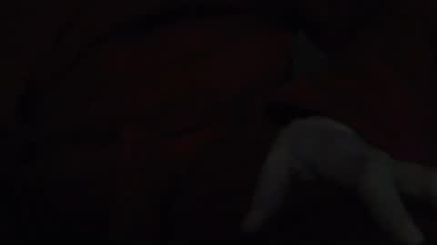 Snapshot of tetuo2 chatting on 11/17/25, 05:13 tetuo2 online show from 11/17/25, 05:13