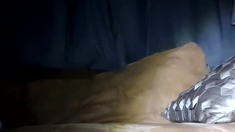 Snapshot of texasfried chatting on 01/29/25, 07:46 MauiMinded808 online show from 01/29/25, 07:46