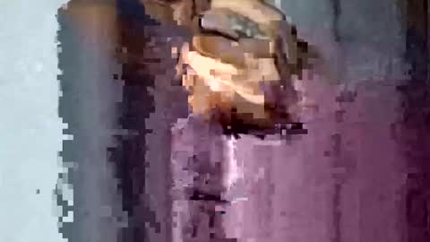 Snapshot of texasmade13 chatting on 11/16/25, 01:55 TexasDick online show from 11/16/25, 01:55