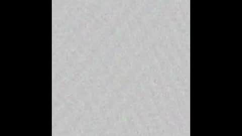 TexPig online show from 09/26/25, 12:09