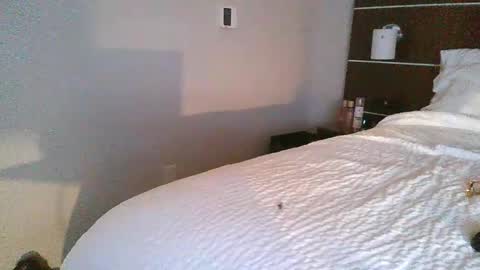 tfoolery34 online show from 02/24/26, 11:52