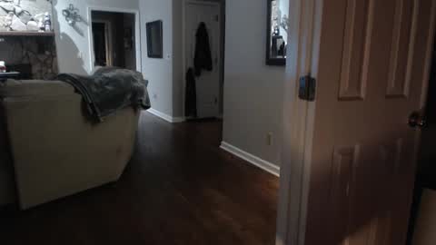 Brooklyn online show from 01/08/25, 07:55