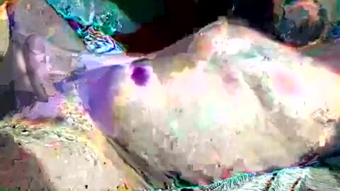 Snapshot of th3darksideofthemoon chatting on 02/26/25, 02:15 th3darksideofthemoon online show from 02/26/25, 02:15