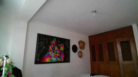    online show from 12/27/24, 09:54