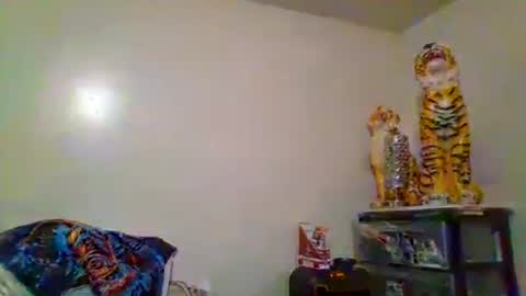 Snapshot of thatgirl4201 chatting on 11/15/25, 05:27 thatgirl4201 online show from 11/15/25, 05:27
