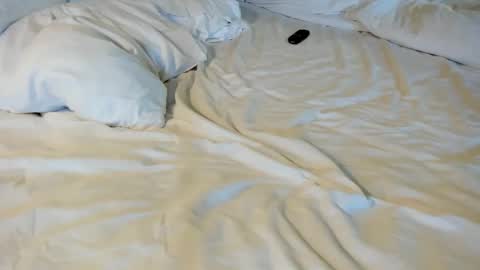 Snapshot of thatguyfromx chatting on 02/05/26, 04:11 That guy follow on X online show from 02/05/26, 04:11