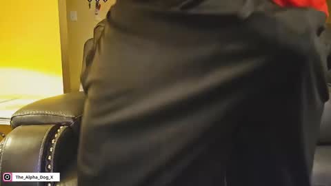 Snapshot of the_alpha_dog_xxx chatting on 12/15/24, 11:53 the_alpha_dog_xxx online show from 12/15/24, 11:53