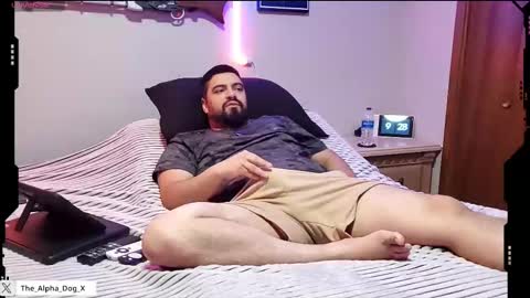 Snapshot of the_alpha_dog_xxx chatting on 09/13/25, 02:28 the_alpha_dog_xxx online show from 09/13/25, 02:28