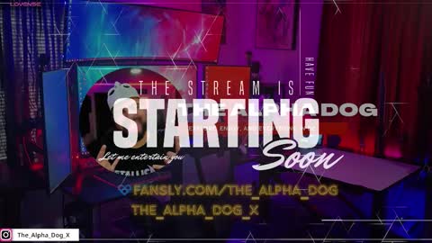 Snapshot of the_alpha_dog_xxx chatting on 11/04/25, 04:06 the_alpha_dog_xxx online show from 11/04/25, 04:06