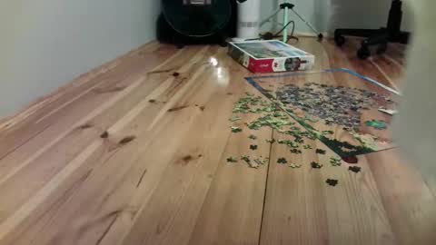 Snapshot of the_naked_pianists chatting on 09/19/25, 09:26 Stephan 34 Cassandra 25 online show from 09/19/25, 09:26