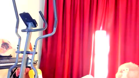 Ally    STREAMING ON TWITCH NOW Check my Twitter for updates online show from 10/02/25, 02:51