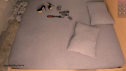 Snapshot of theanytimeshow chatting on 09/20/25, 04:19 Anny online show from 09/20/25, 04:19