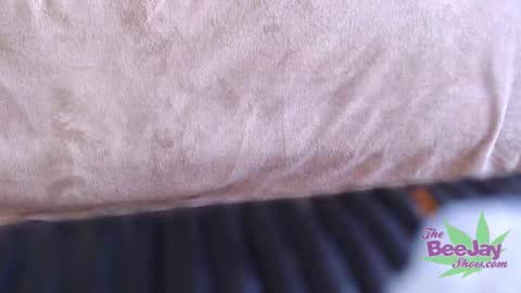 TheBeeJayShow online show from 12/04/24, 03:43