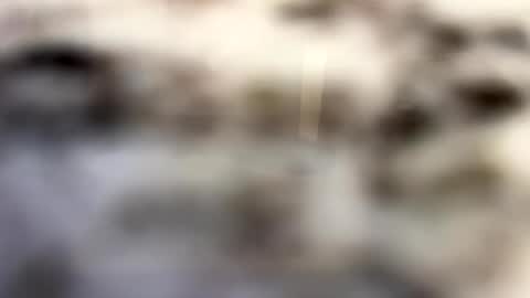 thebodythefeet online show from 01/04/25, 07:23