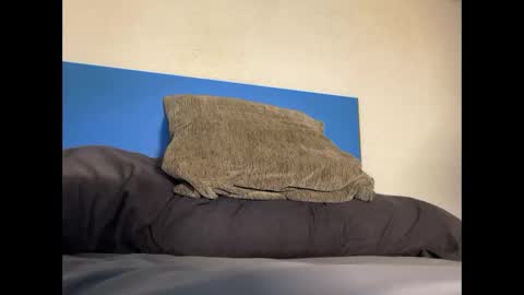 thebulge_b0y online show from 10/20/25, 08:48