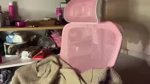 thecontcobracock24cm online show from 02/07/25, 12:42