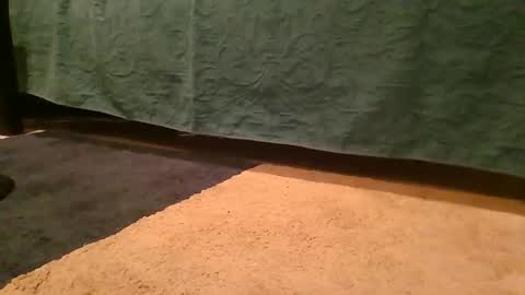 Snapshot of thedickhard1010 chatting on 04/02/26, 04:32 thedickhard1010 online show from 04/02/26, 04:32