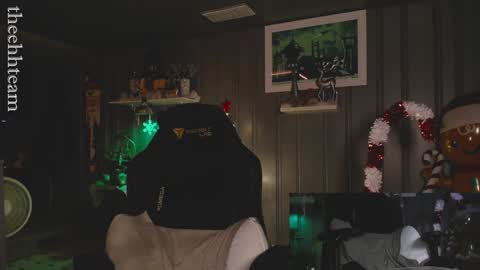 Snapshot of theehhteam chatting on 12/11/24, 01:15 H online show from 12/11/24, 01:15