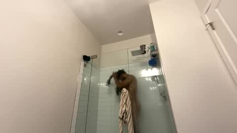 Snapshot of theekingcapo chatting on 12/26/24, 10:52 king capo thee online show from 12/26/24, 10:52