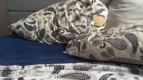 theeshooterr online show from 12/05/24, 06:22