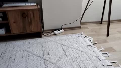 thefckngcber online show from 09/28/25, 09:53